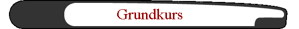 Grundkurs